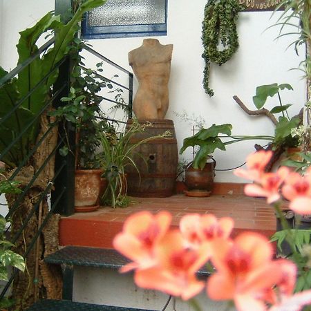 Hostal Residencia Catalina بالاموس المظهر الخارجي الصورة